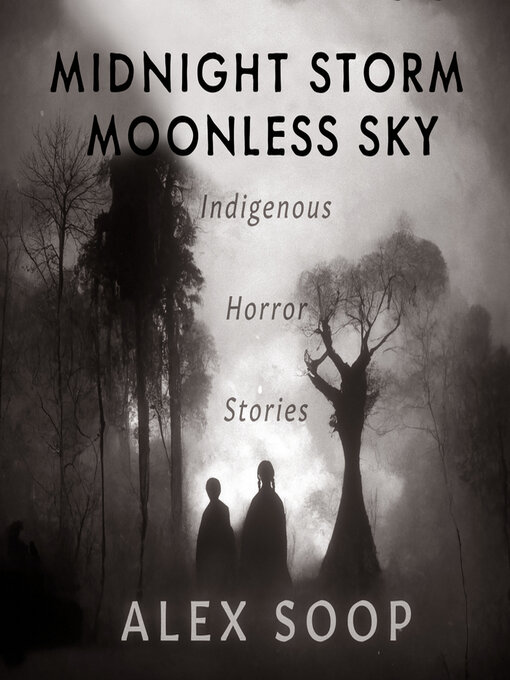 Title details for Midnight Storm Moonless Sky by Alex Soop - Available